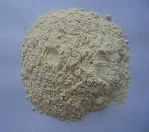 Dehydrated White Onion Powder A-Grade.